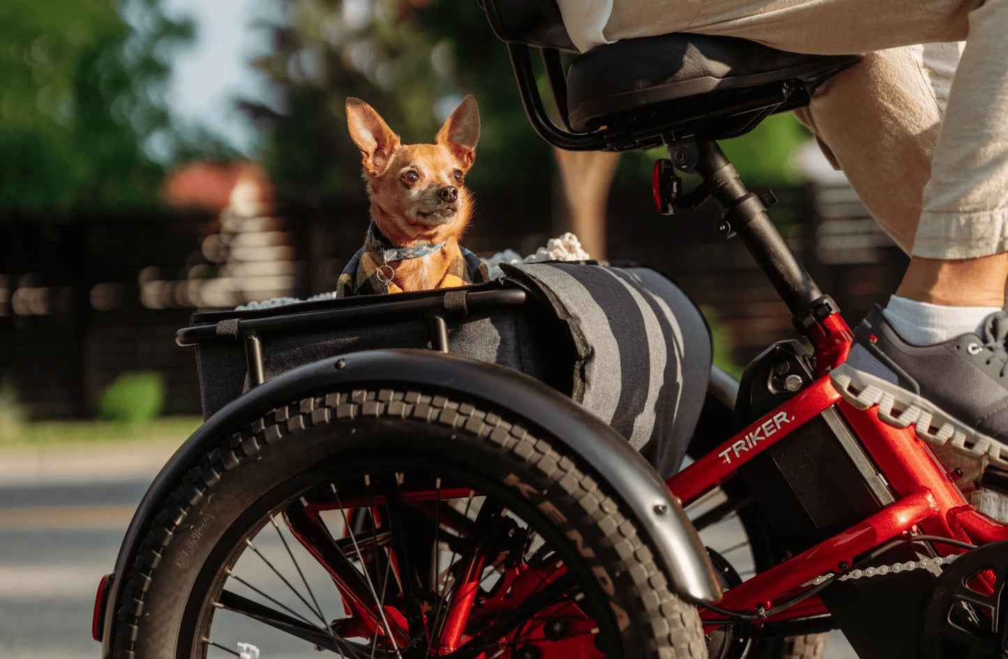 Velotric Triker Electric Folding Tricycle Bike