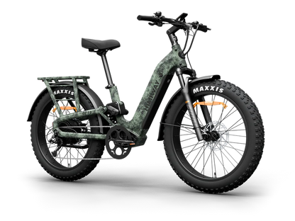 Himiway D5 2.0 ST Electric Fat Tire Bike