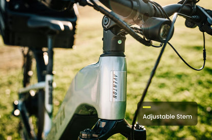Aventon Level 3 Step-Through Electric Commuter Bike