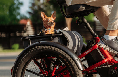 Velotric Triker Electric Folding Tricycle Bike