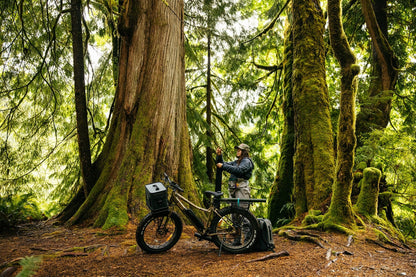 Surface 604 Boar Hunter Electric Utility Bike *Special Order*