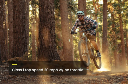 Aventon Ramblas Electric Mountain Bike *Special Order*