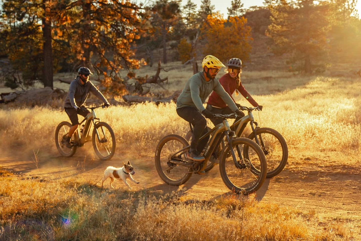 Aventon Ramblas Electric Mountain Bike *Special Order*