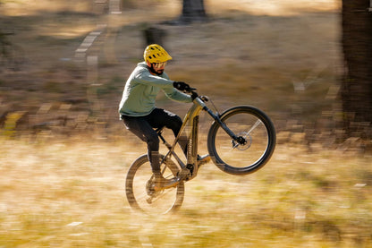 Aventon Ramblas Electric Mountain Bike *Special Order*