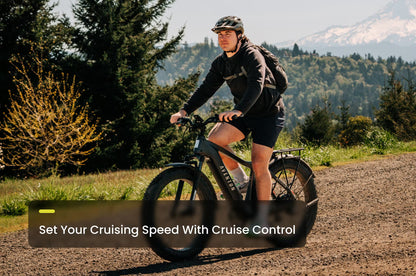 Aventure 3 Step-Through Electric Fat Tire Bike *Special Order*