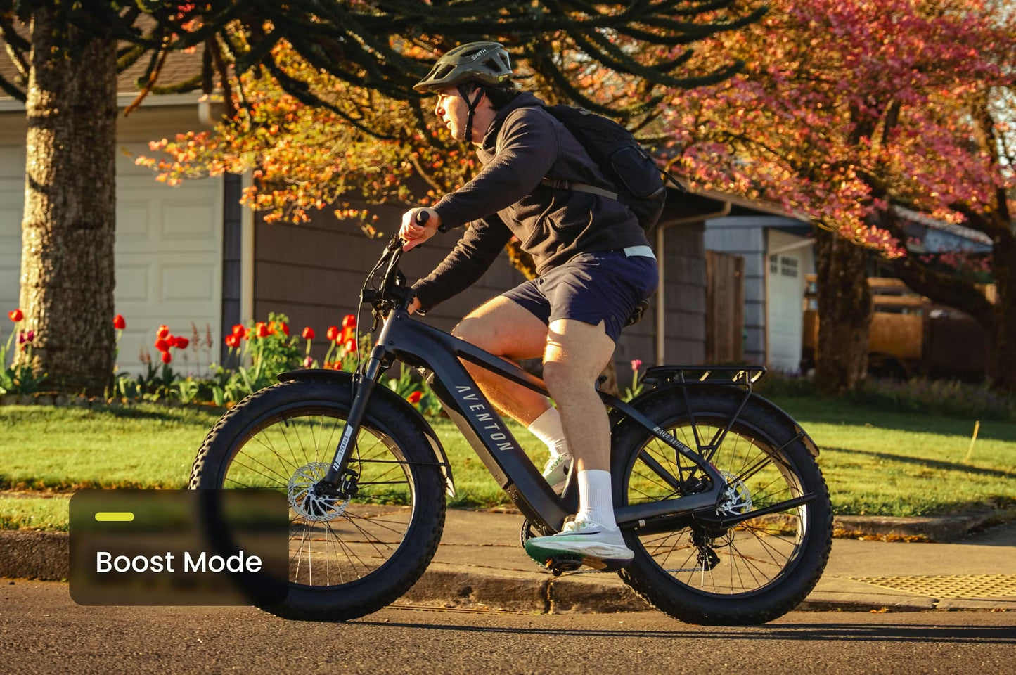 Aventure 3 Step-Through Electric Fat Tire Bike *Special Order*