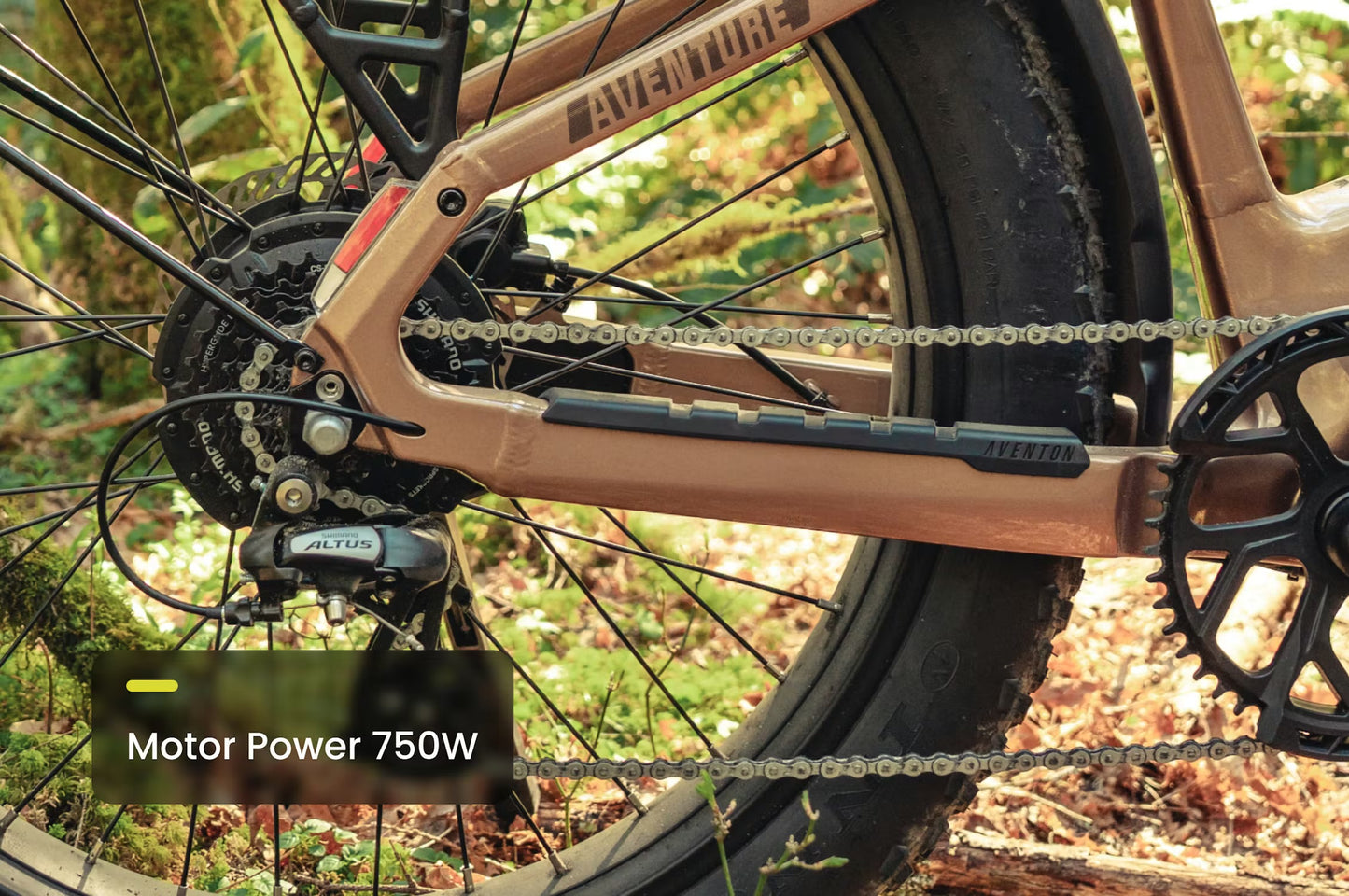 Aventure 3 Step-Through Electric Fat Tire Bike *Special Order*