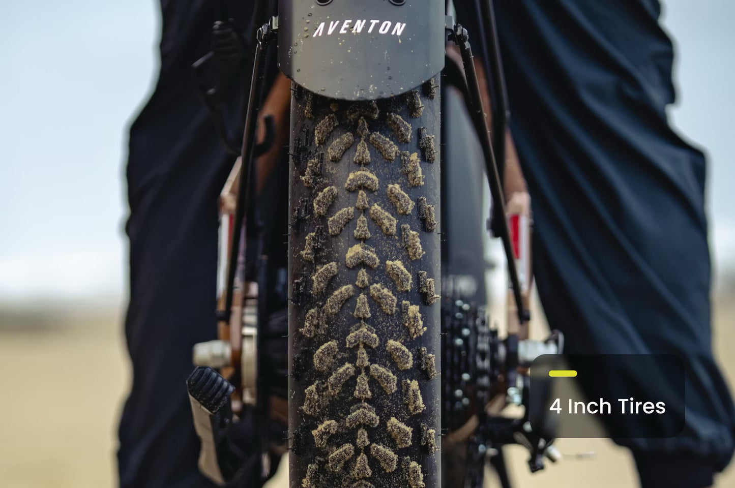 Aventure 3 Step-Through Electric Fat Tire Bike *Special Order*