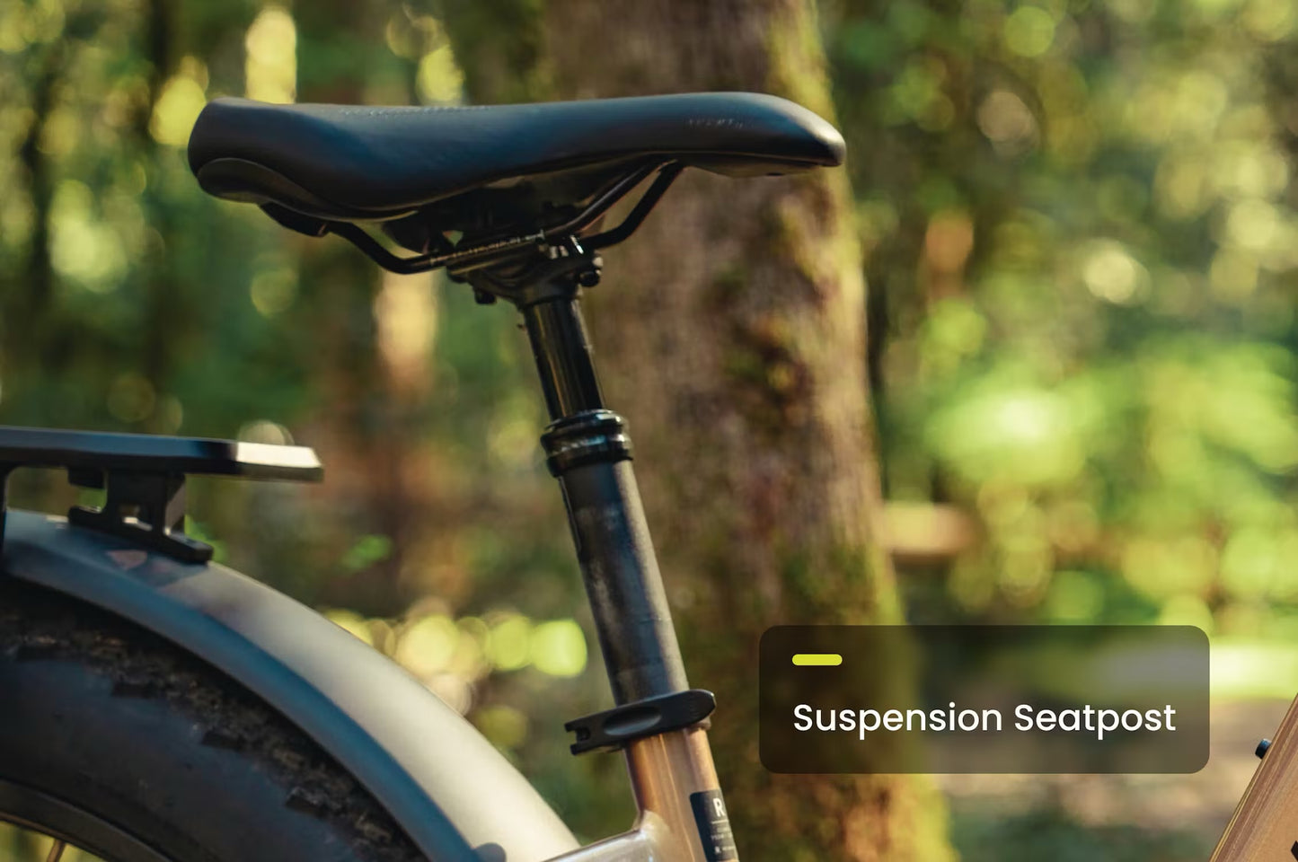 Aventure 3 Step-Through Electric Fat Tire Bike *Special Order*