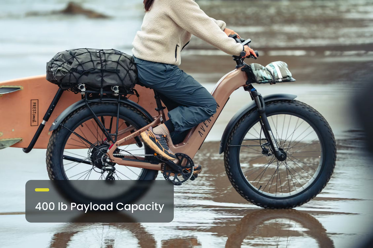 Aventure 3 Step-Through Electric Fat Tire Bike *Special Order*