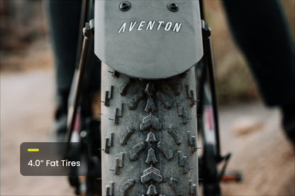 Aventon Aventure M Electric Fat Tire Bike *Special Order*