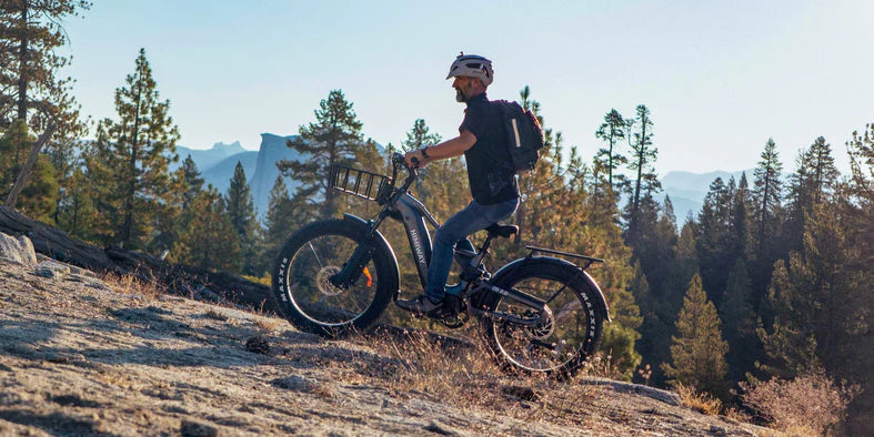 Himiway D5 2.0 ST Electric Fat Tire Bike